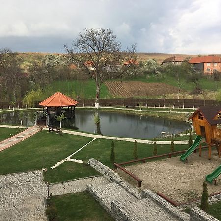 Pensiunea Amurg Mesesenii de Sus Dış mekan fotoğraf