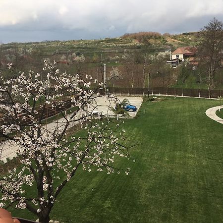 Pensiunea Amurg Mesesenii de Sus Dış mekan fotoğraf